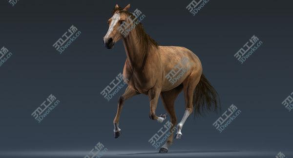 images/goods_img/20210312/3D Horse (Animated) model/3.jpg
